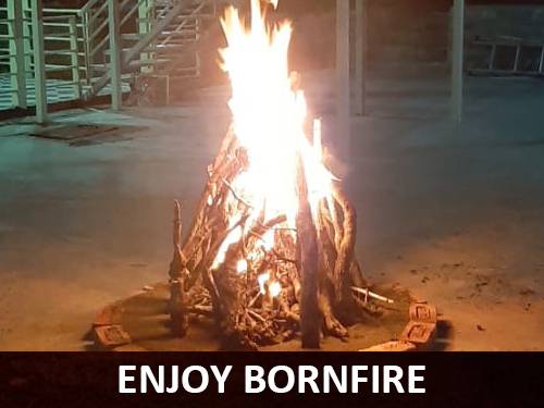 Enjoy Private evening Bonfire